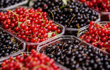 Red and black currants in small plastic boxes displayed on street food market, closeup detail