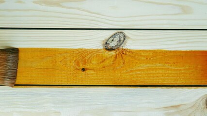 The painter technically applies wood stain on the freshly planed wooden board with a brush on the workshop background. Slow accurate professional wood craftsman work. Top view. Close-up