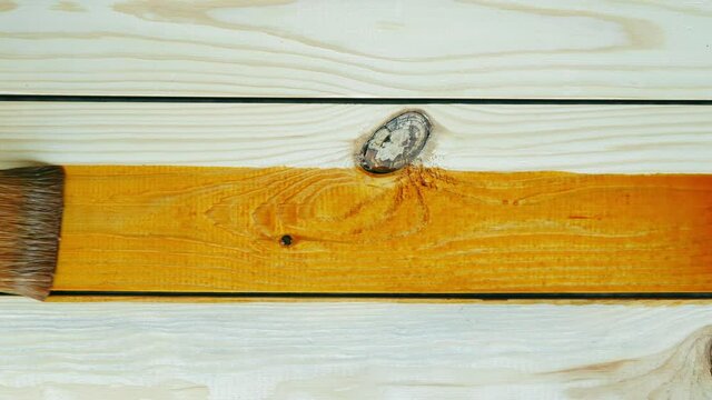 The painter technically applies wood stain on the freshly planed wooden board with a brush on the workshop background. Slow accurate professional wood craftsman work. Top view. Close-up