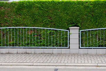 Sidewalk bordered with wrought iron fence and green plants