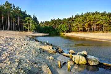 the Piasnica river flowing into the Baltic Sea in Poland, beautiful landscape 