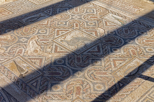 Cyprus, Limassol - 29 June 2021. Floor mosaic in the house of Eustolios in the ancient city of Kourion. In the image, two fish and three birds are symbols of paganism and Christianity.