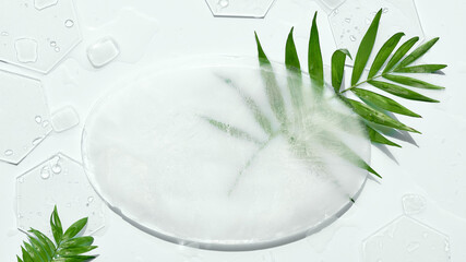 Ice mockup background with oval plate and ice cubes. Off white background with exotic palm leaves....