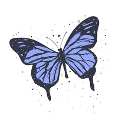 Vintage hand drawing butterfly ink