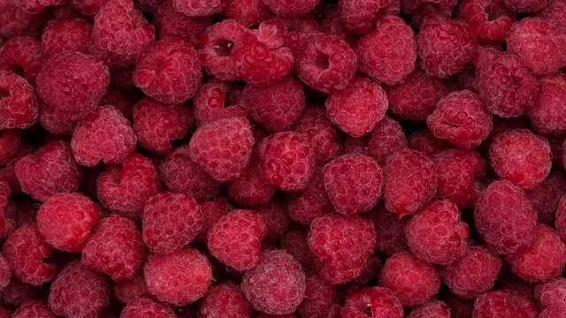 fresh raspberries top view, rotating. 4K UHD video