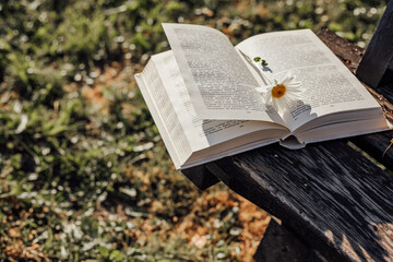 Naklejka na ściany i meble Open book on a bench with a flower.