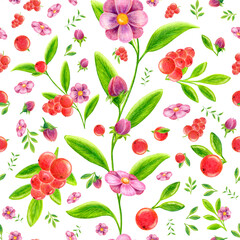 Seamless pattern of juicy red berries green leaves of blooming flowers buds drawing with colored pencils on a white background