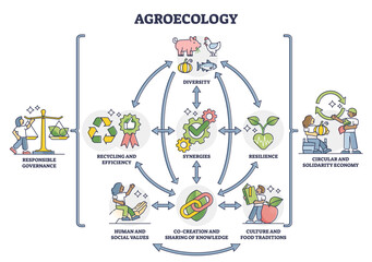 Agroecology as ecological agriculture and responsible farming outline diagram. Nature friendly and bio diversity protective gardening with recycling, resilience and green model vector illustration.