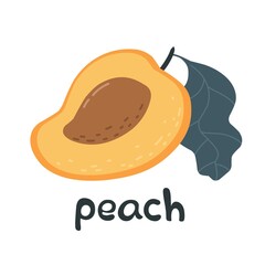 Bright creative peach with the word PEACH. Vector illustration with lettering.