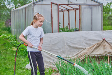 A happy child, a girl of 7-9 years, school age, watering from a watering can garden, vegetable garden, green plants in the daytime. High quality photo