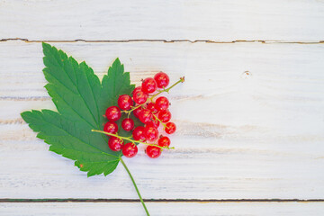 Red currant berries with a green leaf on a white wooden background