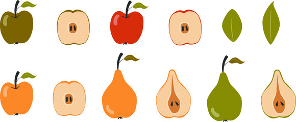 Vector colorful apples and pears. Set of fruits. 