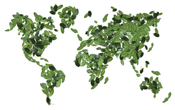 world map made of green leaves