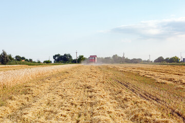 Wheat harvesting on field in summer season. Combine harvester harvests ripe wheat. agriculture.  Process of gathering crop by agricultural machinery.