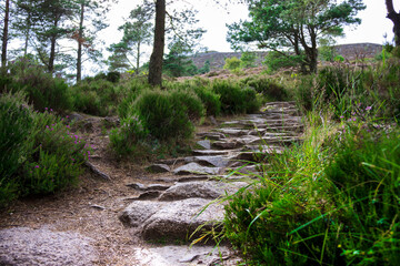 Scottish rural landscape and hiking trail in Cairngorms, Aberdeenshire, Scotland, UK