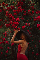 Elegant beautiful woman wearing luxury wide brim black hat, red dress with naked back, posing near blooming roses - obrazy, fototapety, plakaty