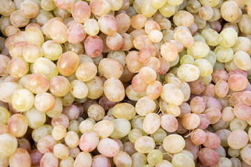 Background from ripe green and pink grapes. Raw materials for winemaking. Collection and sale of...