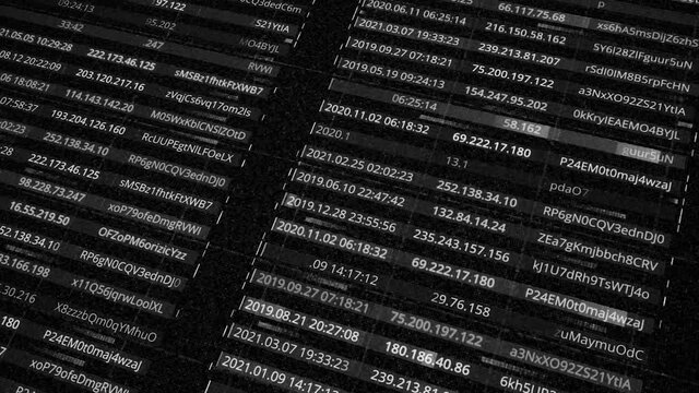 IP addresses and passwords. Animation. Generation of all passwords and addresses of network users inside database. Database with passwords and addresses inside matrix