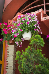 Beautiful flower pot with flowering flower framing house entrance