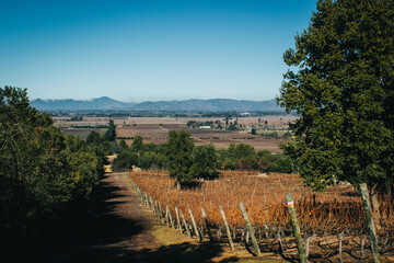 Winter view of one of the best producers of chilean wine. Vineyard landscape. Colchagua, Santa Cruz, Chile, South America