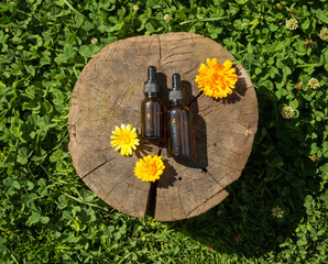 Calendula products. Essential oil on a fresh blooming background. Product on an eco-friendly wood background