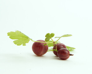 Close-up of three ripe red gooseberry berries with gooseberry leaves isolated on a white background