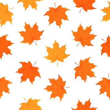Vector illustration of the pattern of autumn leaves. Maple leaf print. Seamless pattern of variegated dried leaves