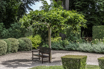 Beautiful garden near Cheverny Castle (Chateau Cheverny, sixteenth century). Cheverny, Loire Valley, France.