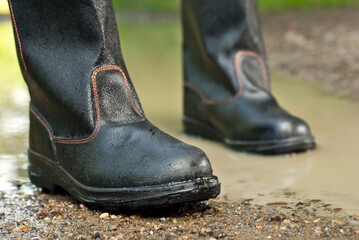 Black rubber boots close up. Boots in the swamp and dirt. The concept of cleanliness, ecology and protection. Shoes for oil workers.