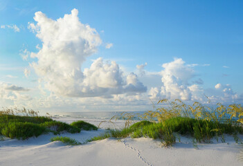 Early Morning on a Beautiful Pristine Florida White Sand Beach of the Gulf Coast - 446504239