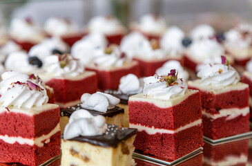 Velvet dessert of red color is arranged for presentation, dessert party