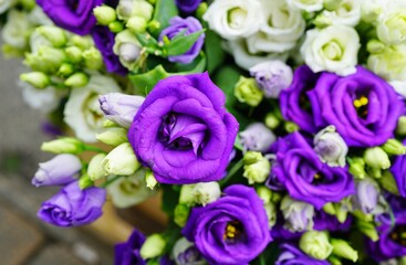 Obraz na płótnie Canvas Bunch of white and purple lisianthus gentian flowers
