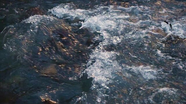 Slow motion of wild clear mountain river , stream flowing through rocks. Close up of river stones with flowing water, clean water flowing in a mountain river