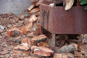 Pile of chopped California oak tree firewood