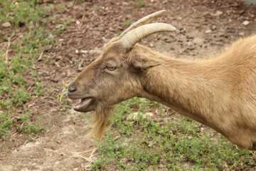 beauty in nature
no people
