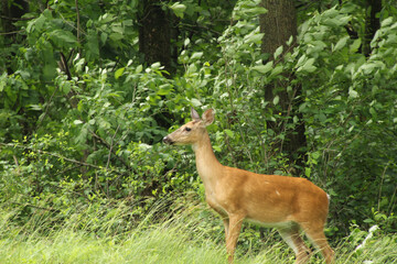 beauty in nature
no people
