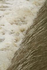 beauty in nature
no people
