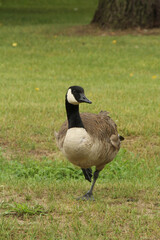 beauty in nature
no people
