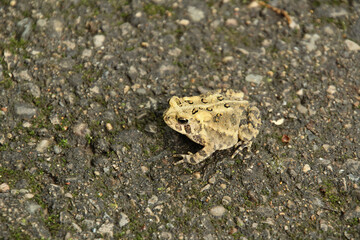 beauty in nature
no people
