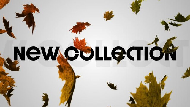 Animation of new collection text over leaves falling
