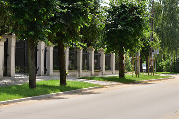 Fototapeta premium Alley on a sunny day in the shade of trees. Calm. Day.
