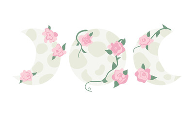 Hand drawn vector illustration with moon phases and pink roses. Full moon and flowers.
