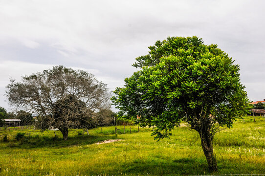 Natural Landscape