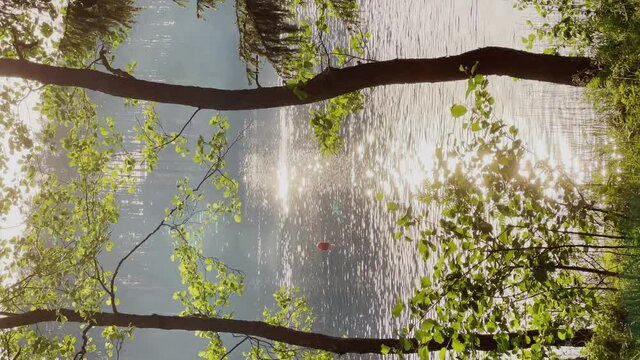 Vertical video of a lake through green trees on a sunny warm day at sunset, Sun flare on the water, tranquility