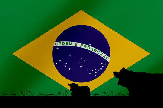 Consumption and production of cattle in countries with the flag of  Brazil.