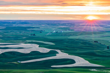 Sunset view of wheat fields in the rolling Palouse hills.