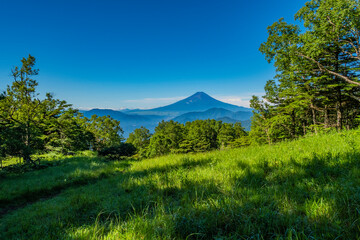 初夏の富士