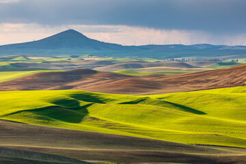 Steptoe Butte over rolling wheat fields in the Palouse hills.