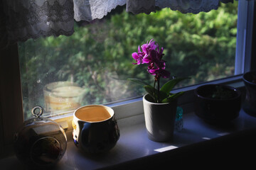 Obraz na płótnie Canvas Orchid on Windowsil