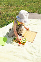 A small child at a picnic in the park in nature takes out from the box sandwiches with vegetables and herbs, snacks. Setting the table at a picnic by a child.